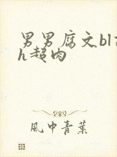 男男腐文bl高h超肉