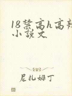 18禁高h高辣小说文