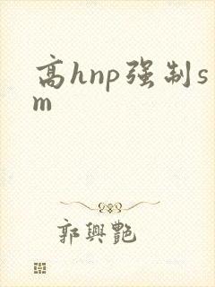 高hnp强制sm