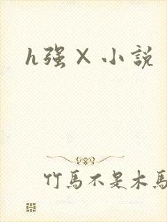 h强×小说