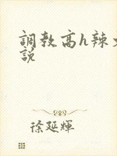 调教高h辣文小说