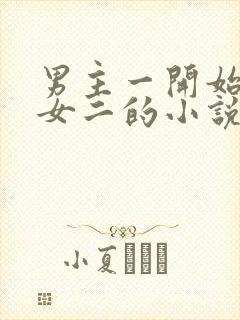 男主一开始喜欢女二的小说