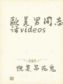 欧美男同志性生活videos