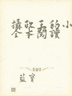 摄政王的小闲妻全本阅读