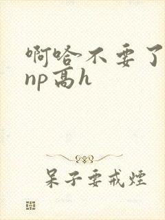 啊哈不要了男男np高h