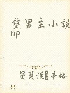 双男主小说高hnp封面