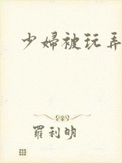 少妇被玩弄小说封面