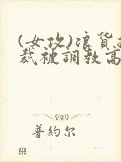 (女攻)浪货总裁被调教高h封面