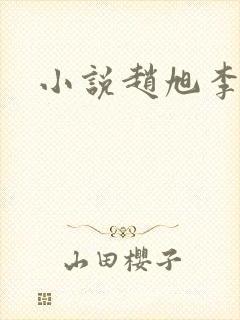 小说赵旭李晴晴封面