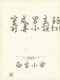 穿成男主的炮灰前妻小说txt下载