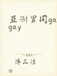 亚洲男同gaygay封面