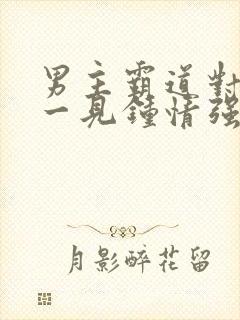 男主霸道对女主一见钟情强取豪夺封面