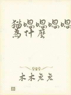 猫嗯嗯嗯嗯叫是为什么