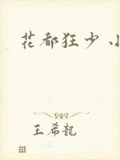 花都狂少 小说