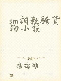 sm调教骚货母狗小说封面