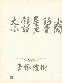 大领导的小妻子小说免费阅读