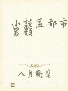 小说区都市激情另类