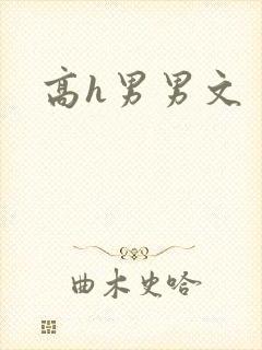 高h男男文