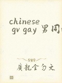 chinese gv gay 男同video在线观看