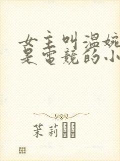 女主叫温婉男主是电竞的小说封面