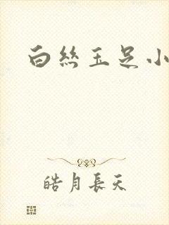 白丝玉足小说封面
