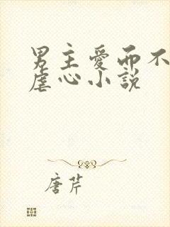 男主爱而不得的虐心小说封面