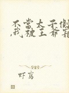 不当太子侧妃后,我被王爷宠成宝女主封面