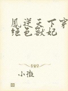 凤逆天下穿越之绝色兽妃