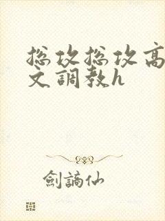 总攻总攻高辣h文调教h