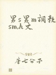 男s男m调教(sm,h文