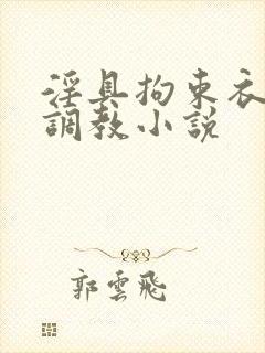 淫具拘束衣淫堕调教小说封面