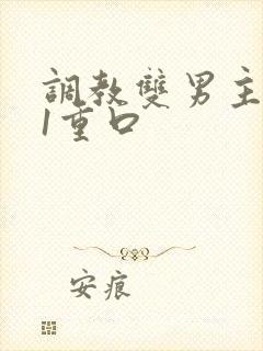 调教双男主1v1重口封面