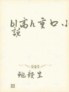 bl高h重口小说
