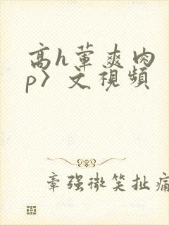 高h荤爽肉〈np〉文视频
