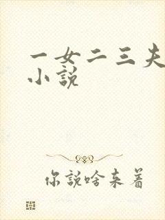 一女二三夫穿越小说