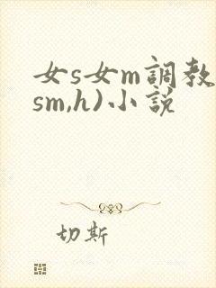 女s女m调教(sm,h)小说封面