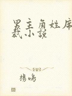 男主角姓席的总裁小说