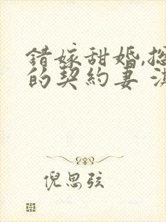 错嫁甜婚,总裁的契约妻 淇沅