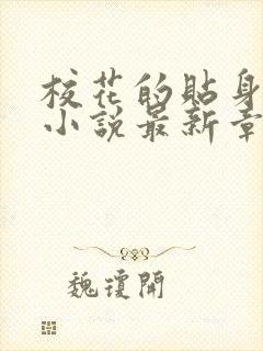 校花的贴身高手小说最新章节封面