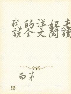 我的洋妞老婆小说全文阅读