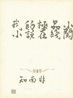 我的极品小姨 小说在线阅读