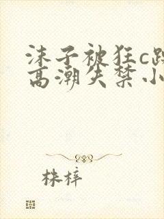 沫子被狂c躁到高潮失禁小说