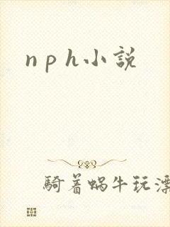 n p h小说