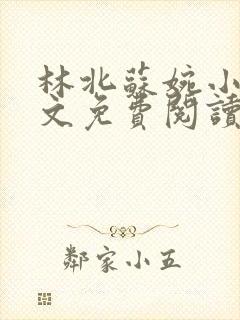 林北苏婉小说全文免费阅读最新杨辰