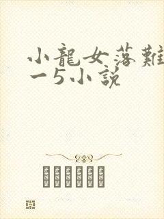小龙女落难记1一5小说