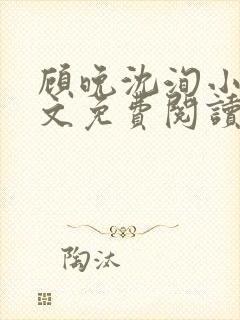 顾晚沈洵小说全文免费阅读封面