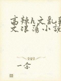 高辣h文乱乳h文浪荡小说苏瑾瑶封面