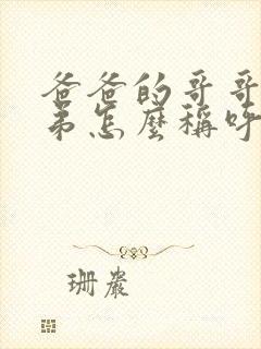 爸爸的哥哥和弟弟怎么称呼