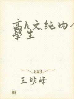 高h文纯肉全肉学生