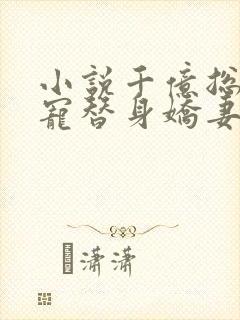 小说千亿总裁独宠替身娇妻小说